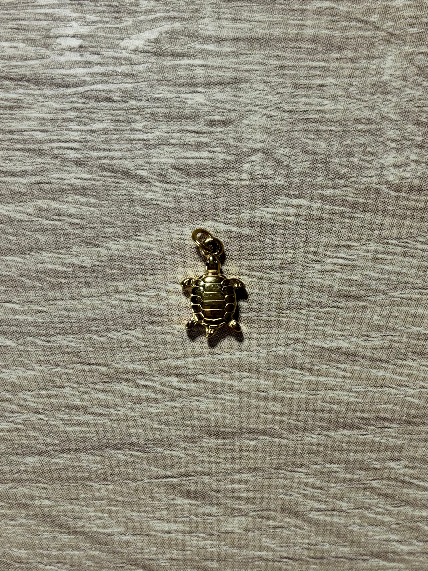 Charm tortue